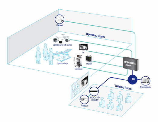 Esquema Educaci&oacute;n